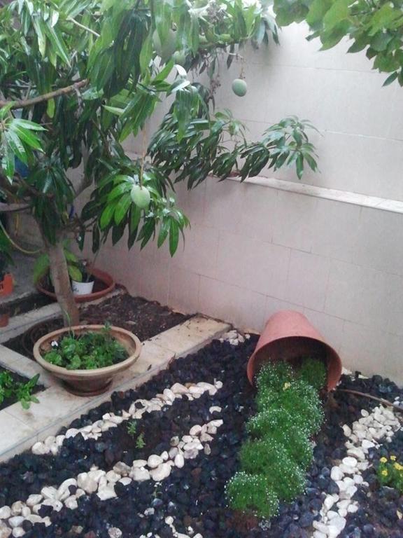 Guest House Ashdod-Beach 외부 사진